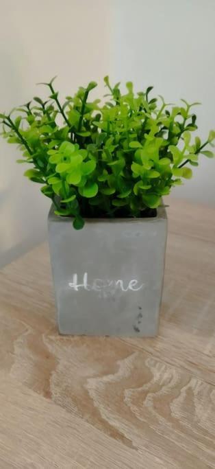 Cute Apartment Marla Art Close To Center Πούλα Εξωτερικό φωτογραφία